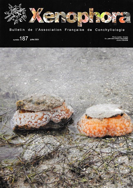 Couverture du Xenophora n187.